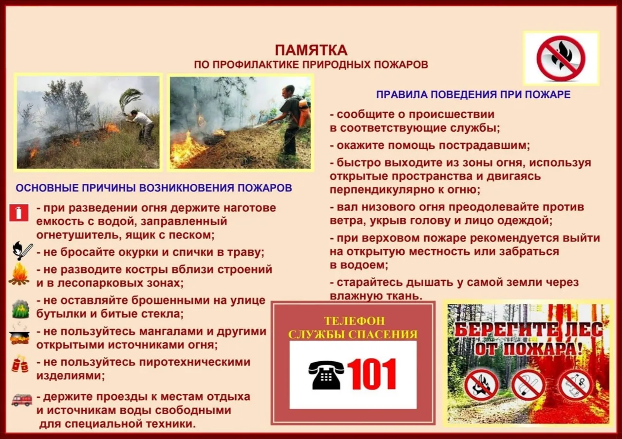‼️ПАМЯТКА ПО ПРОФИЛАКТИКЕ ПРИРОДНЫХ ПОЖАРОВ‼️