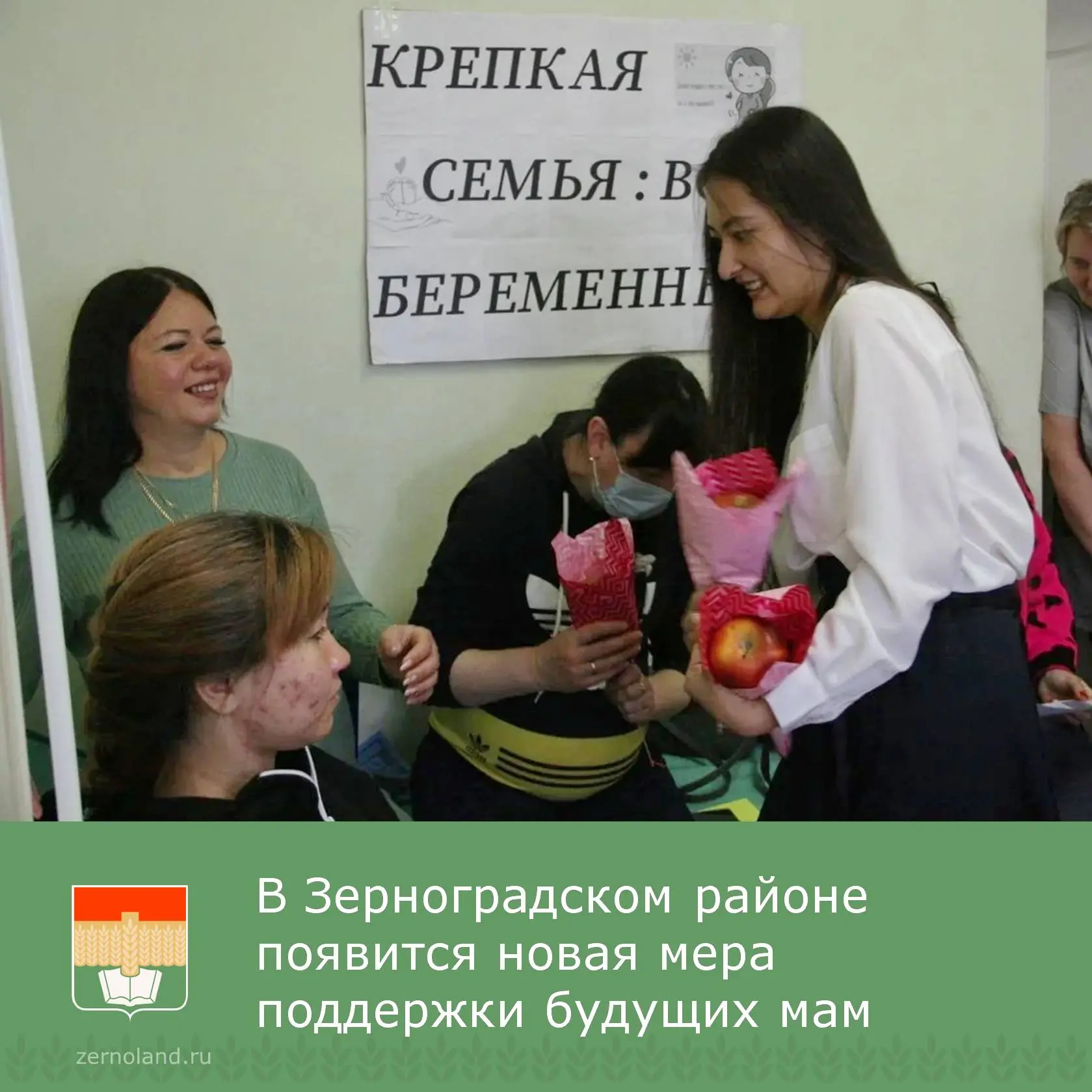 Автономная некоммерческая организация по развитию малых территорий «Новые горизонты» (руководитель Н