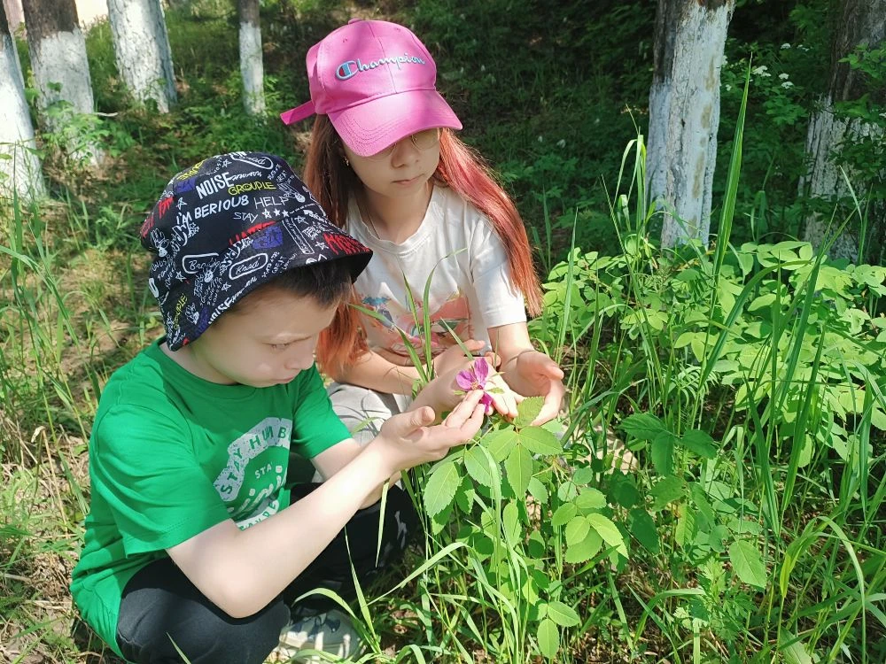 🌿 Исследователи природы в школьном лагере «Планета фантазёров»! 🌳

На днях в нашем школьном лагере