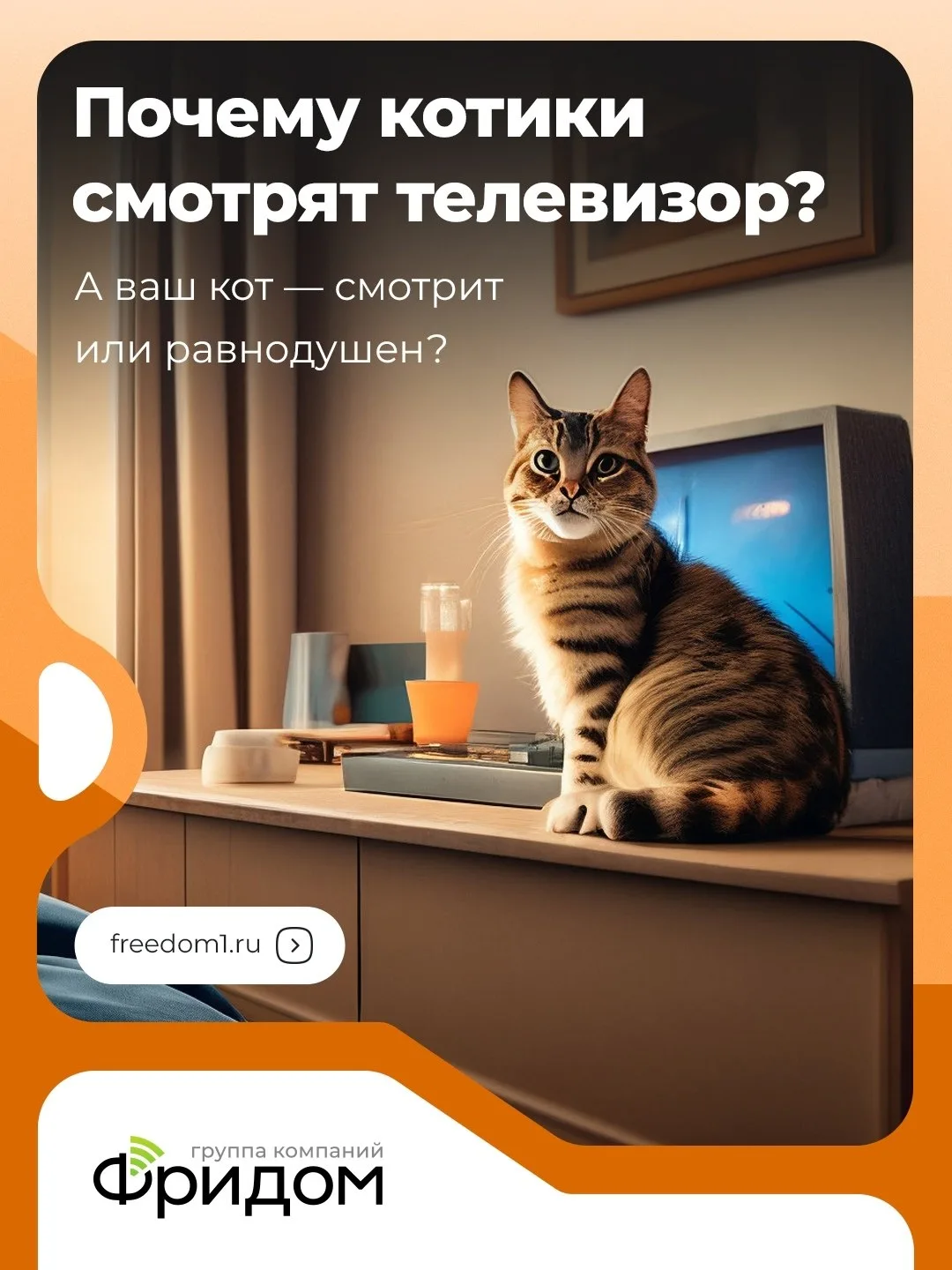 Почему ваш кот киноман? 🐾

Замечали этот гипнотический взгляд, устремленный в телевизор? Всё дело в