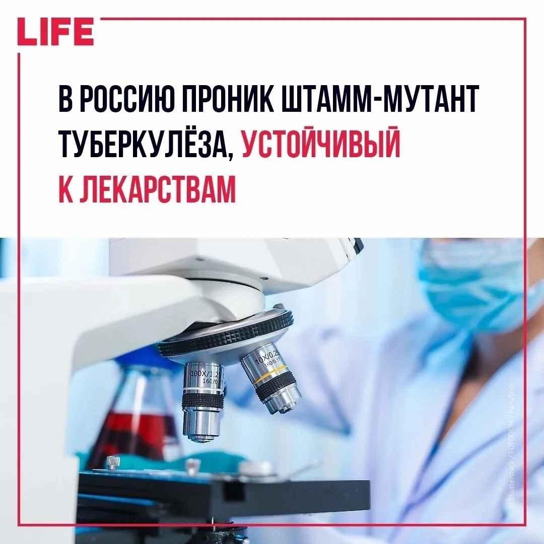 В России обнаружили линию туберкулёза, устойчивую сразу к нескольким антибиотикам😱