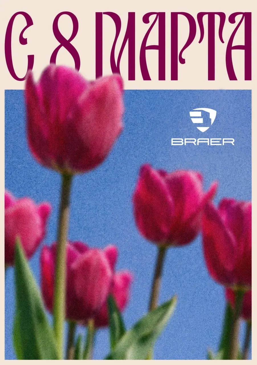 🌷 🌷 🌷🌷🌷🌷🌷