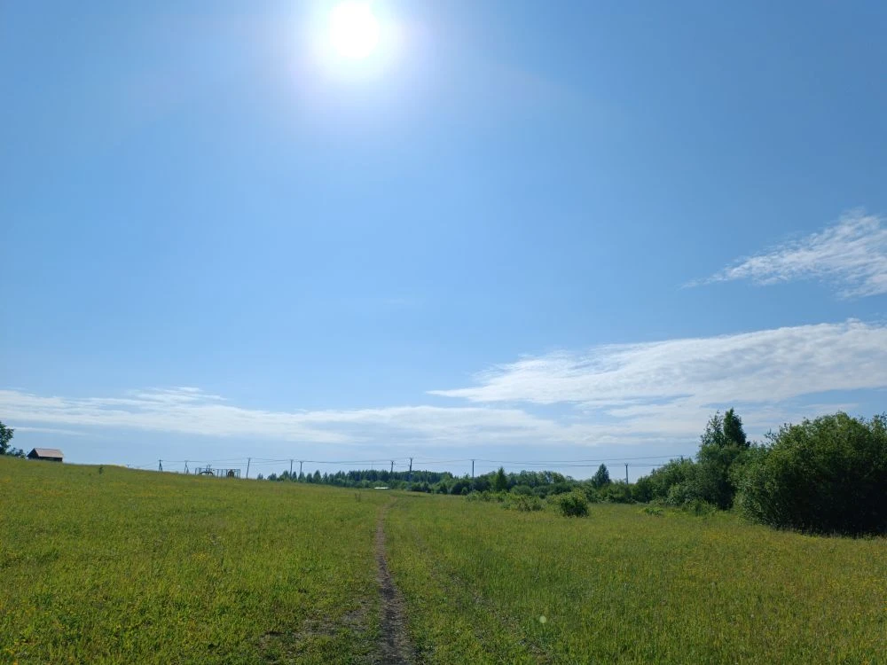 Хорошего дня