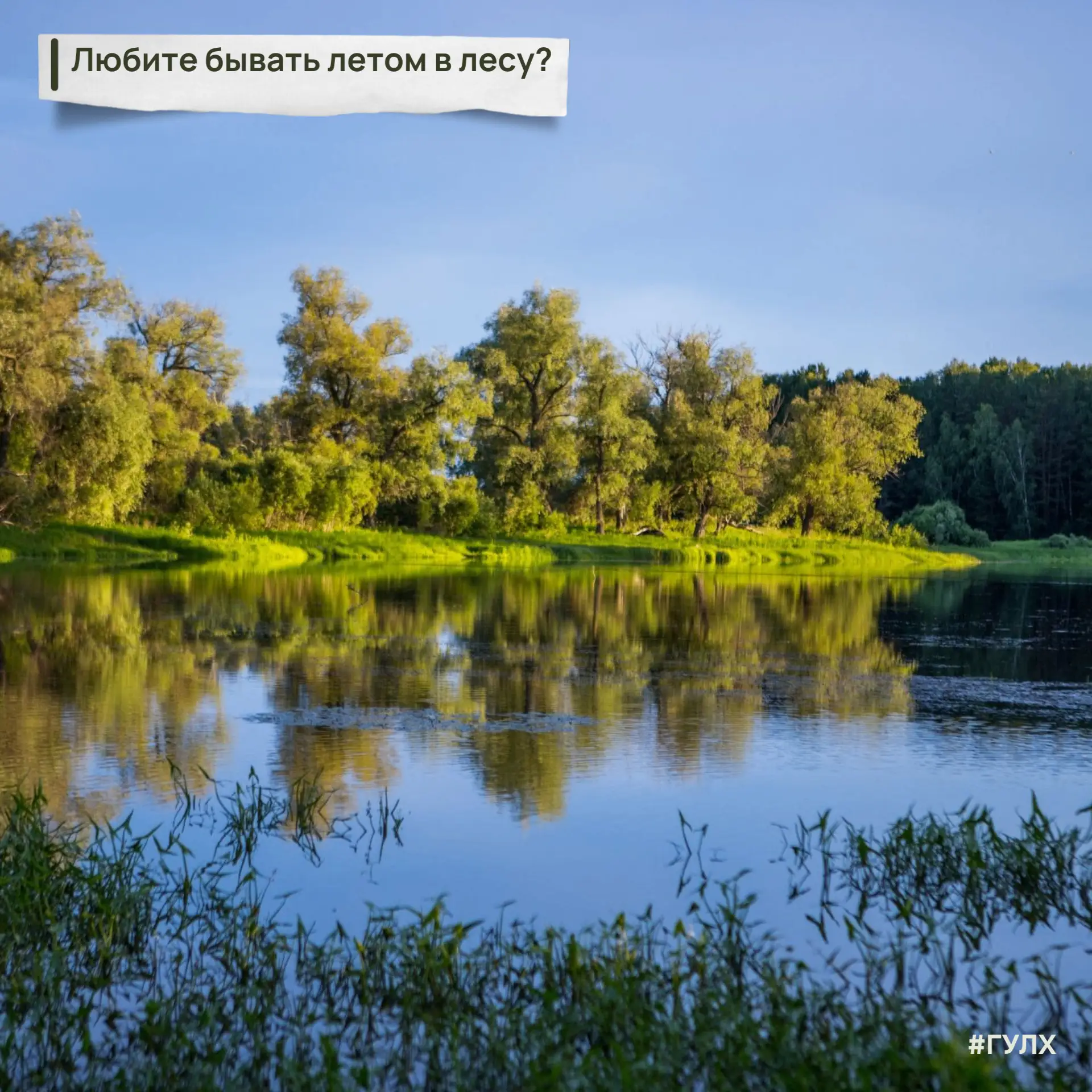 Лето – пора отпусков и пикников! Сотни омичей и жителей области каждую неделю выбираются в леса, что