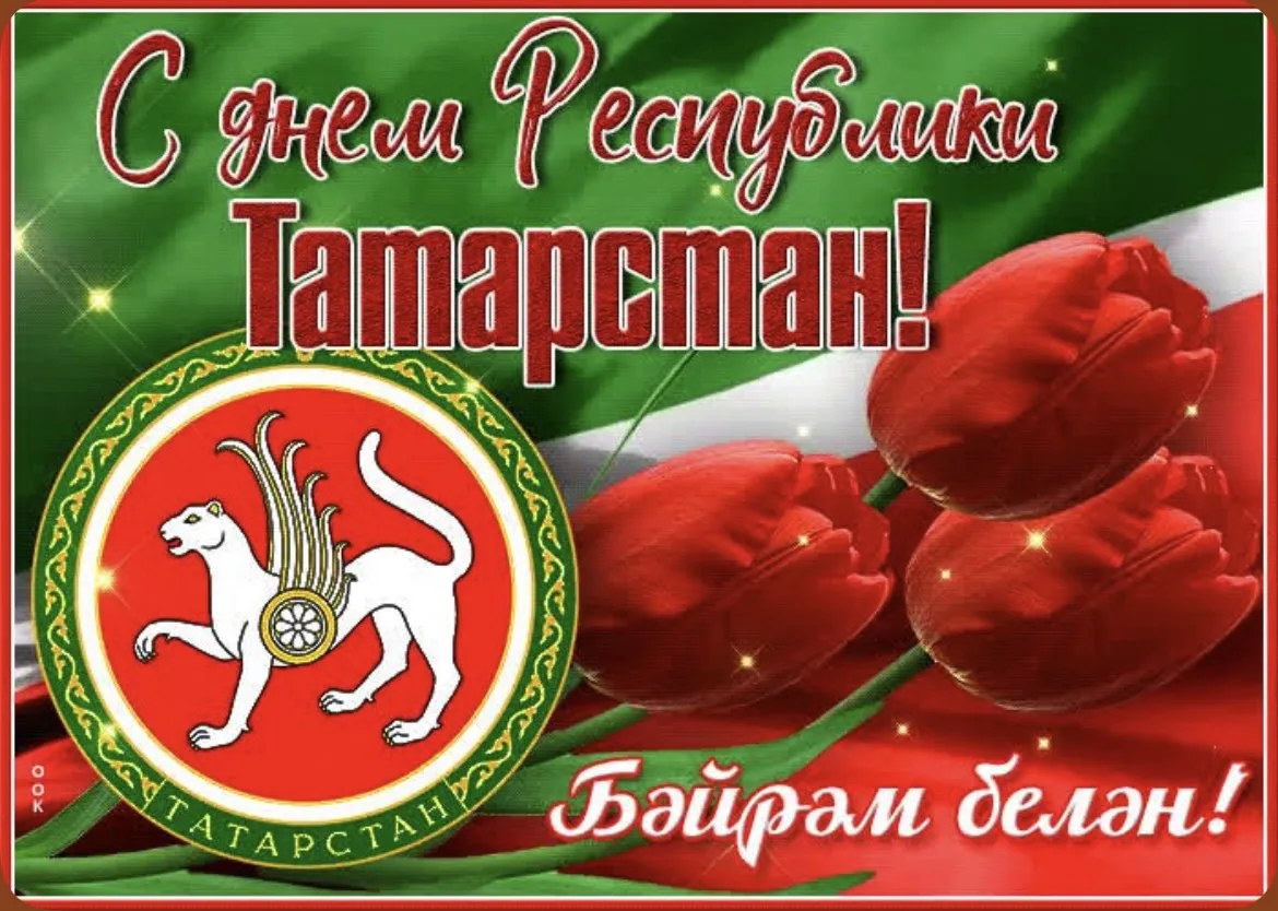 ✨Татарстан Республикасы көне белән!