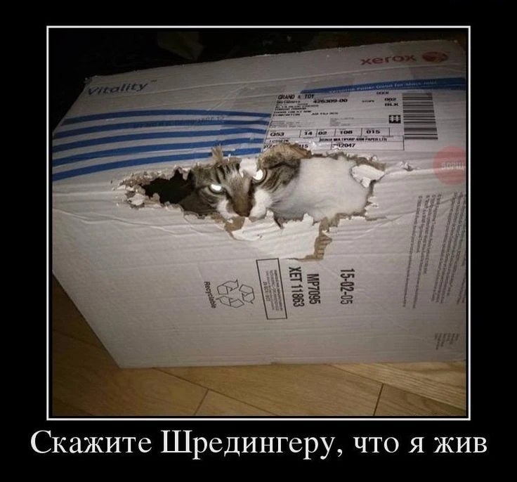 Неприличный парадокс