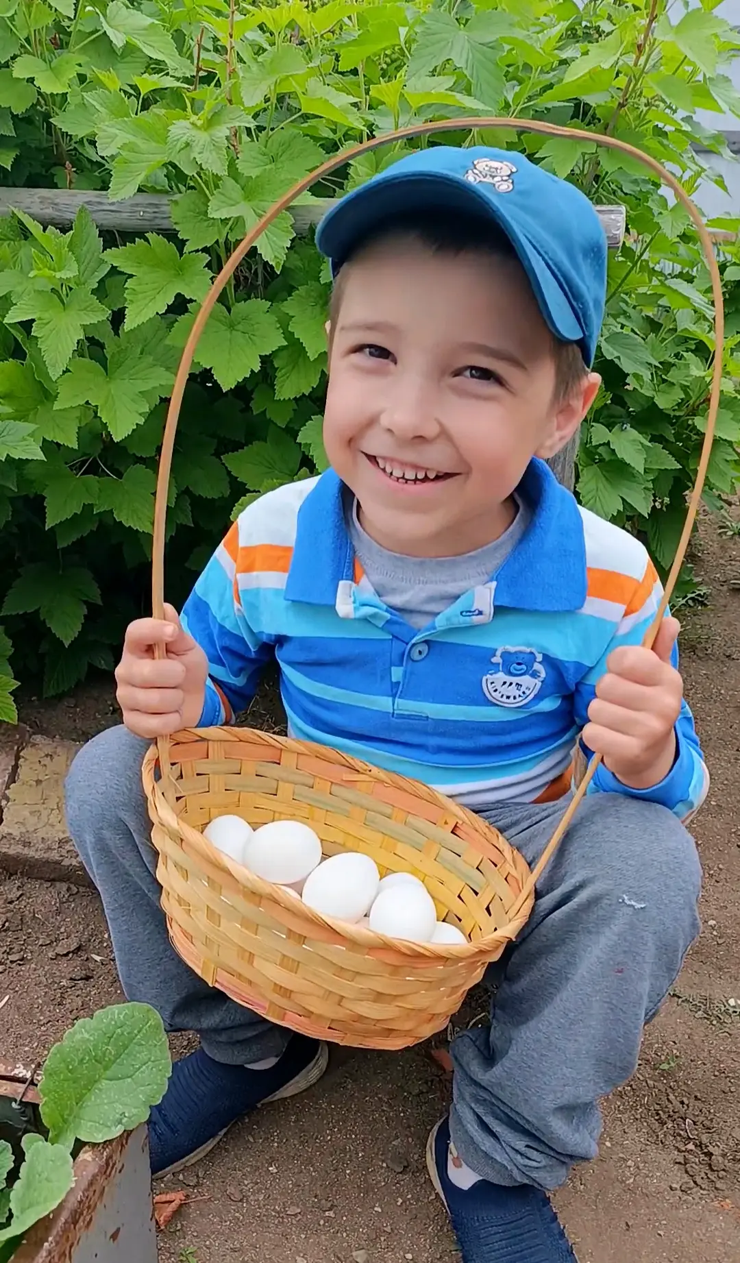 На дачке мы🤗 Помощник везде со мной🥰
Помаленьку всё растёт👍

Редисочка наросла на летний салатик�