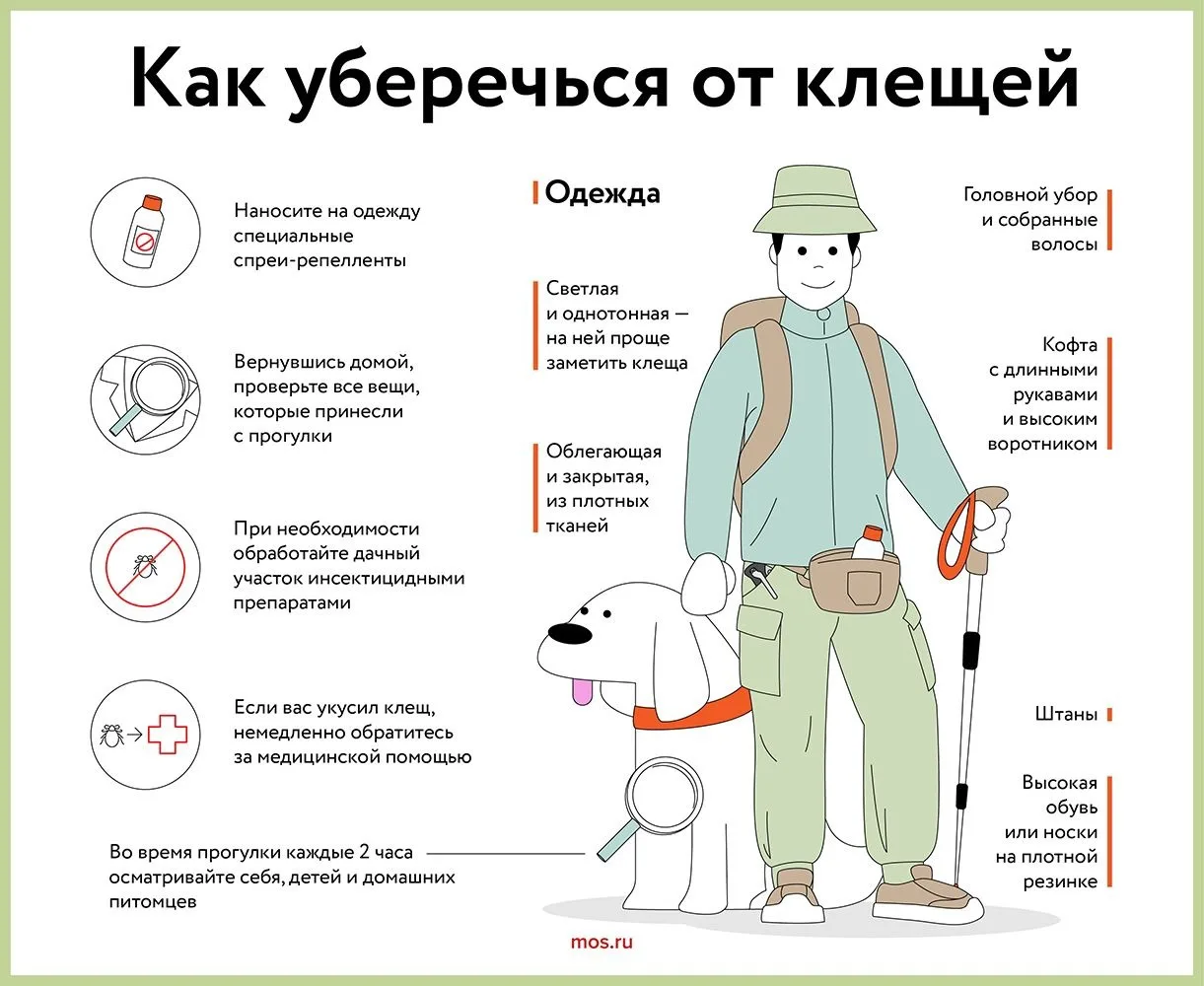 ✅Как защититься от укусов клещей: рекомендации МЧС России