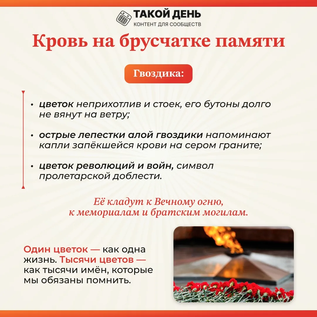 9 мая День Победы в Великой Отечественной войне