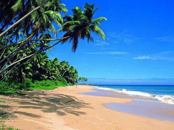 НОВЫЙ ГОД на ШРИ ЛАНКЕ у океана 🌴🥂🎄⭐️