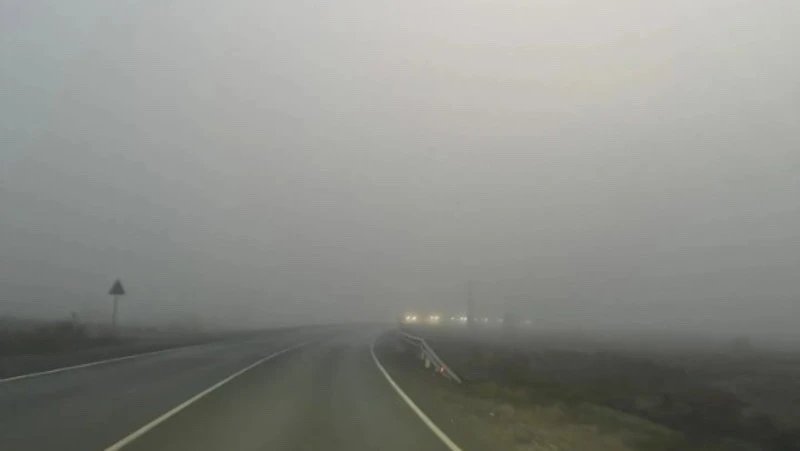 🌫️ 8 июля в Астраханской области будет туманно
