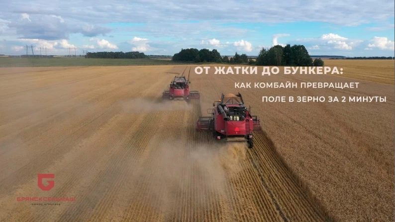 Комбайн — это не просто машина. Это мини-завод на колёсах. Давайте быстро пробежимся, из каких главн