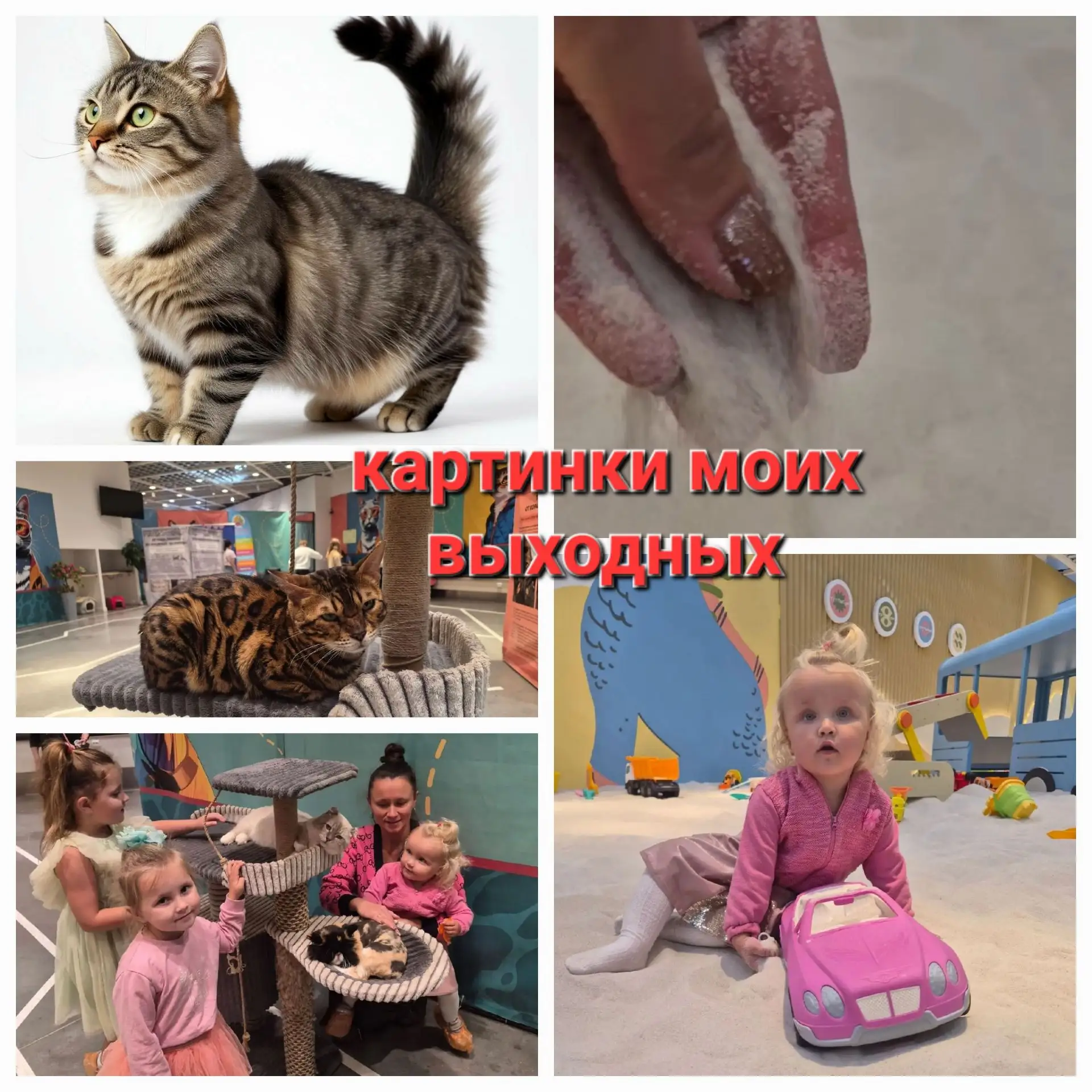 Картинки моих выходных.