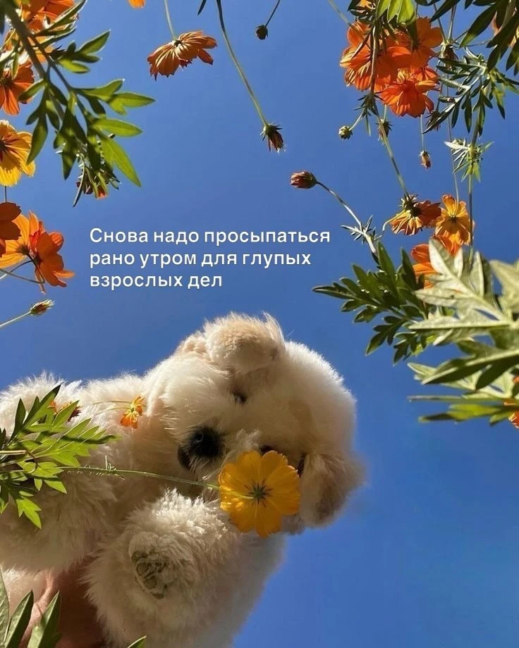Доброй продуктивной недели, дорогие! 

Но всё же, когда обед?