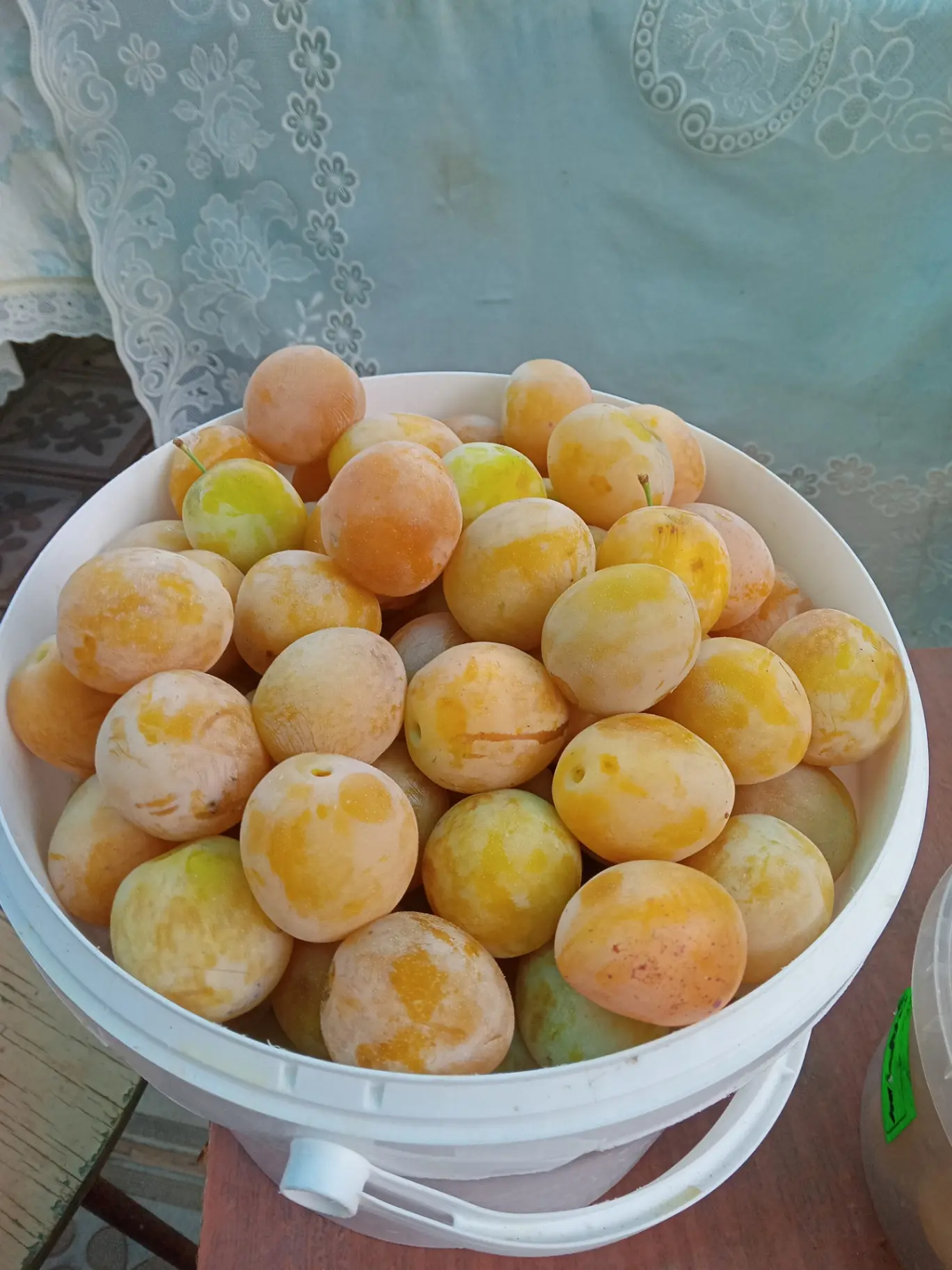 Продам сливу