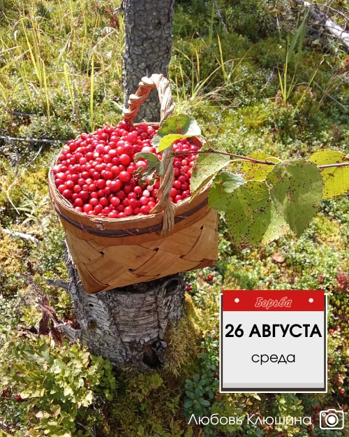 Доброе утро, друзья! ☀️