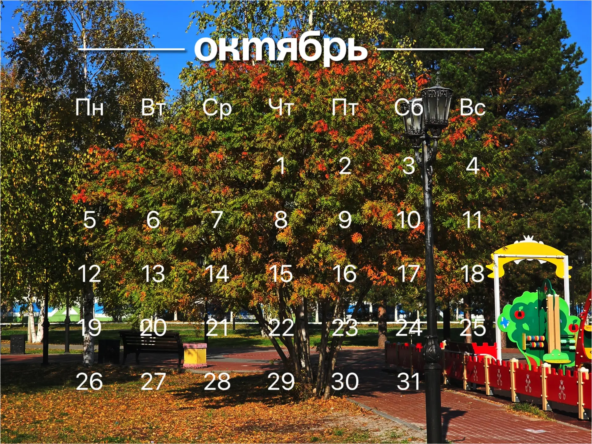С первым днём октября! Время горячего чая, тёплых пледов и самых красивых прогулок по о...