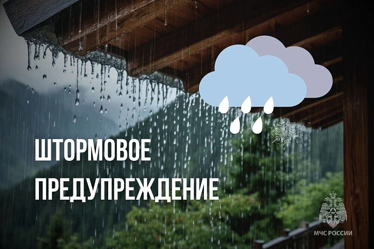 Режим «повышенной готовности» введен в Артёме из-за приближающейся непогоды❗️🌧⚡️

Утром и днем 28 м
