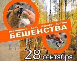 Ежегодно 28 сентября по инициативе Всемирной организации здравоохранения (ВОЗ) отмечает...