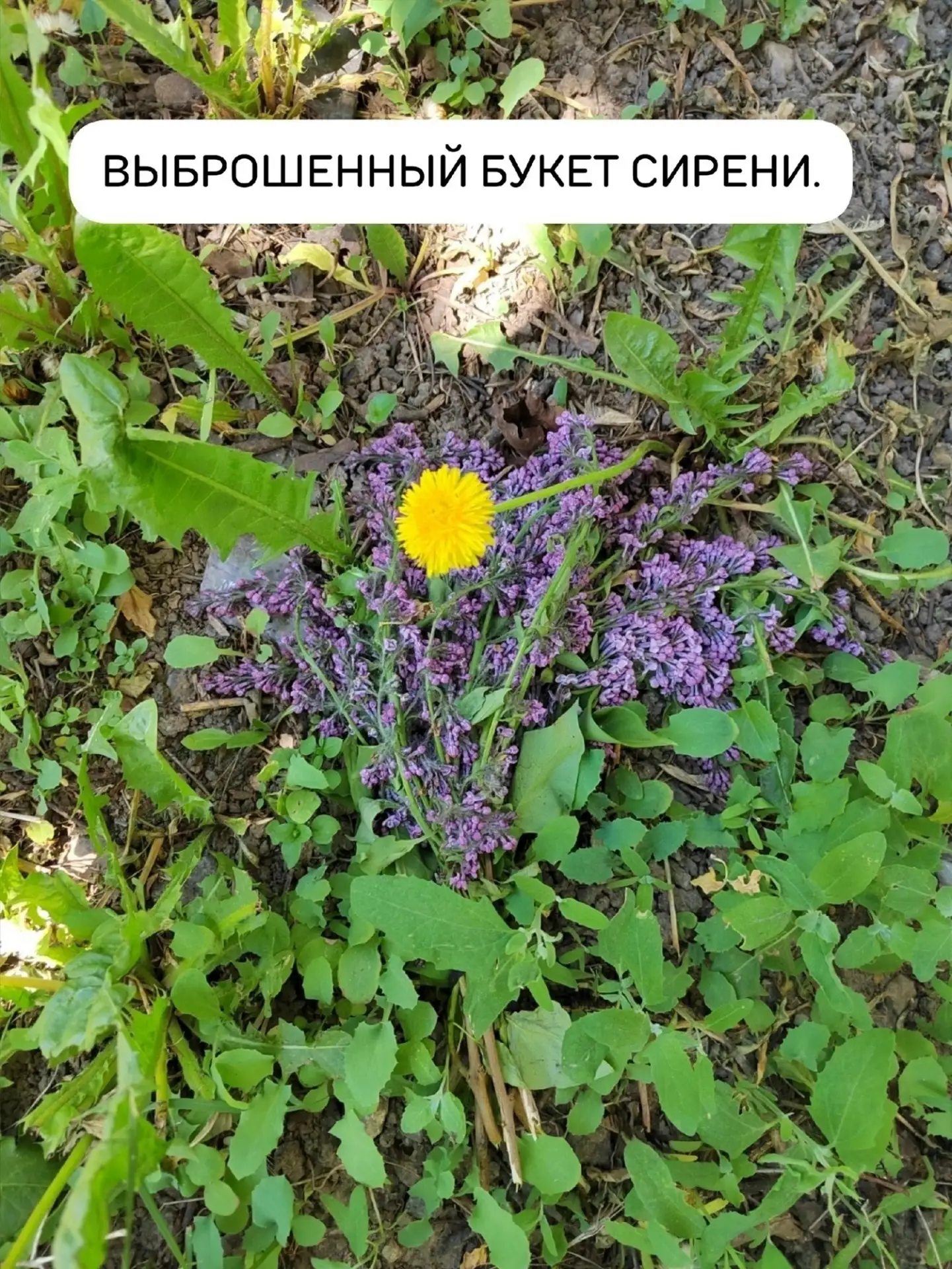 Не будте животными
