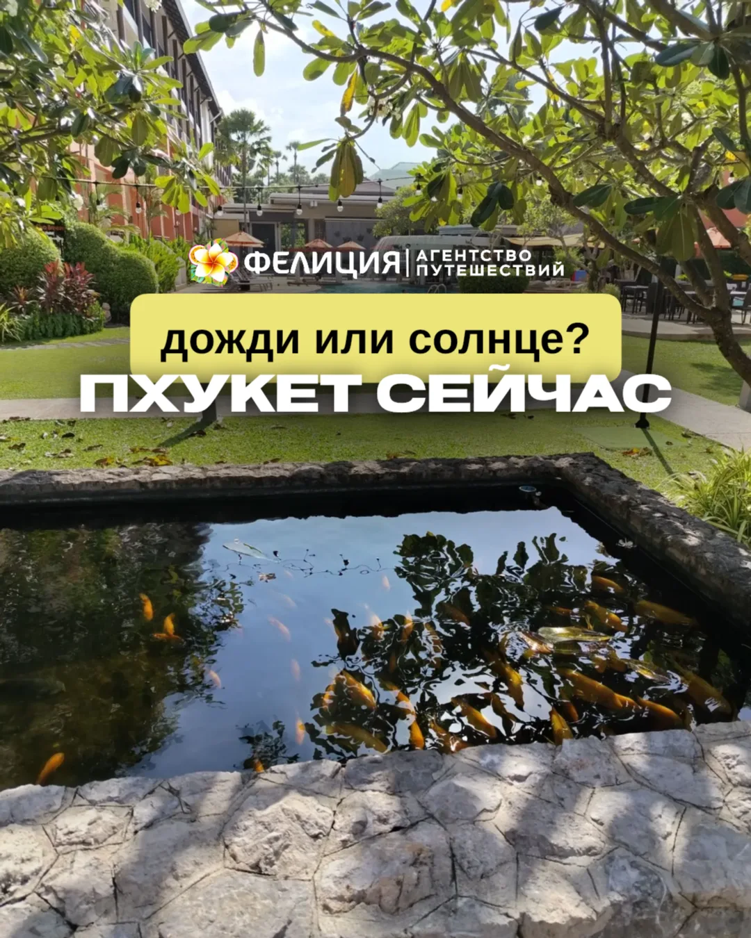 🇹🇭 Таиланд летом: в прогнозе ливни, а у туристов — солнце ☀️ 

Пока приложение погоды рисует дождь