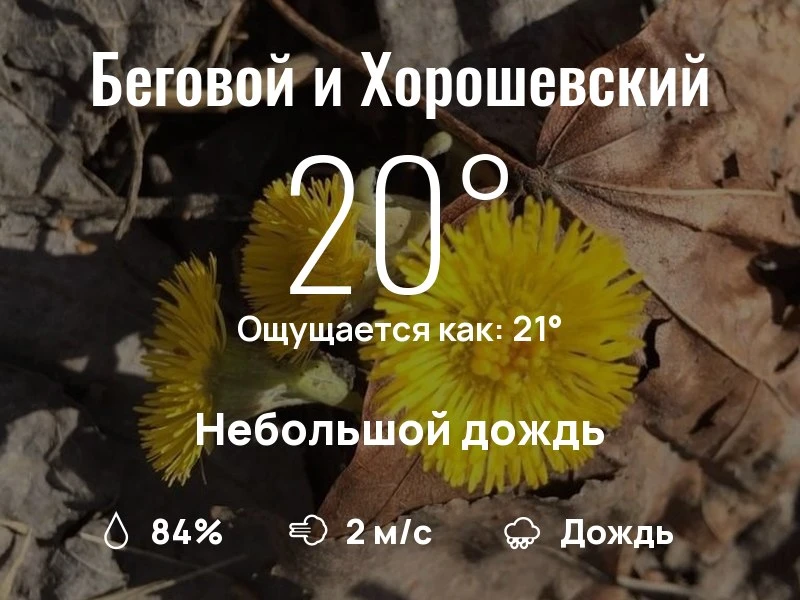 Что с погодой в Беговом и Хорошевском?