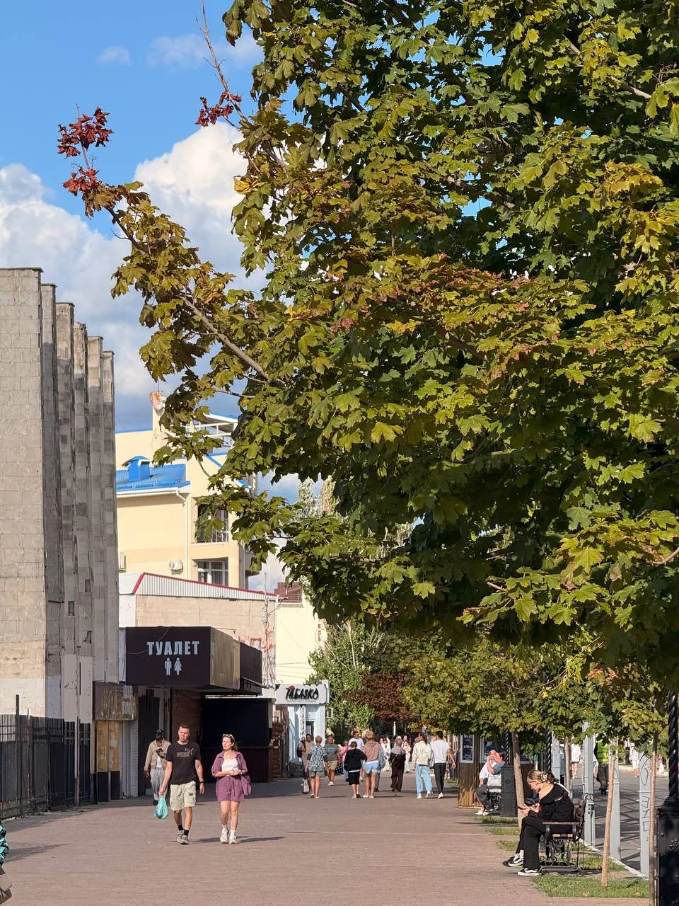 🍂 Золото листвы и синева моря. Сентябрь в Анапе — вот где настоящие контрасты ✨