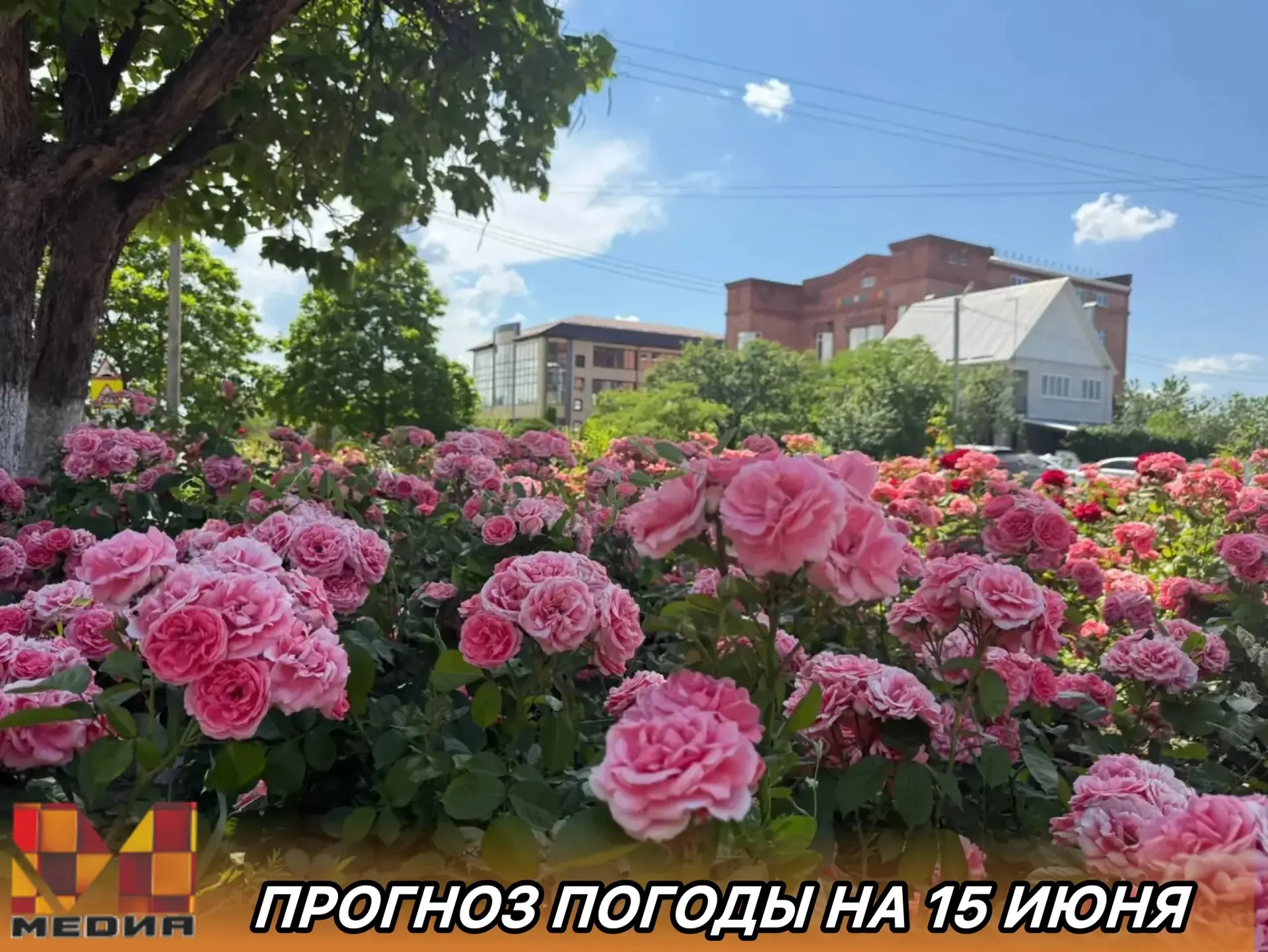 Доброе утро, друзья! 
Сегодня в Курганинске переменная облачность ⛅️ 
Температура воздуха до +26 С⁰.