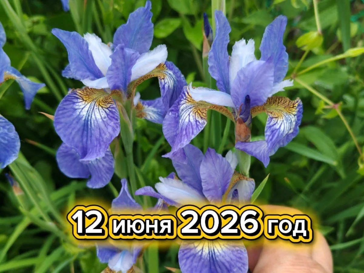 1️⃣2️⃣.0️⃣6️⃣.2️⃣0️⃣2️⃣6️⃣
Общий день пройдет под управлением энергии цифры 1️⃣

Мир будет находитьс