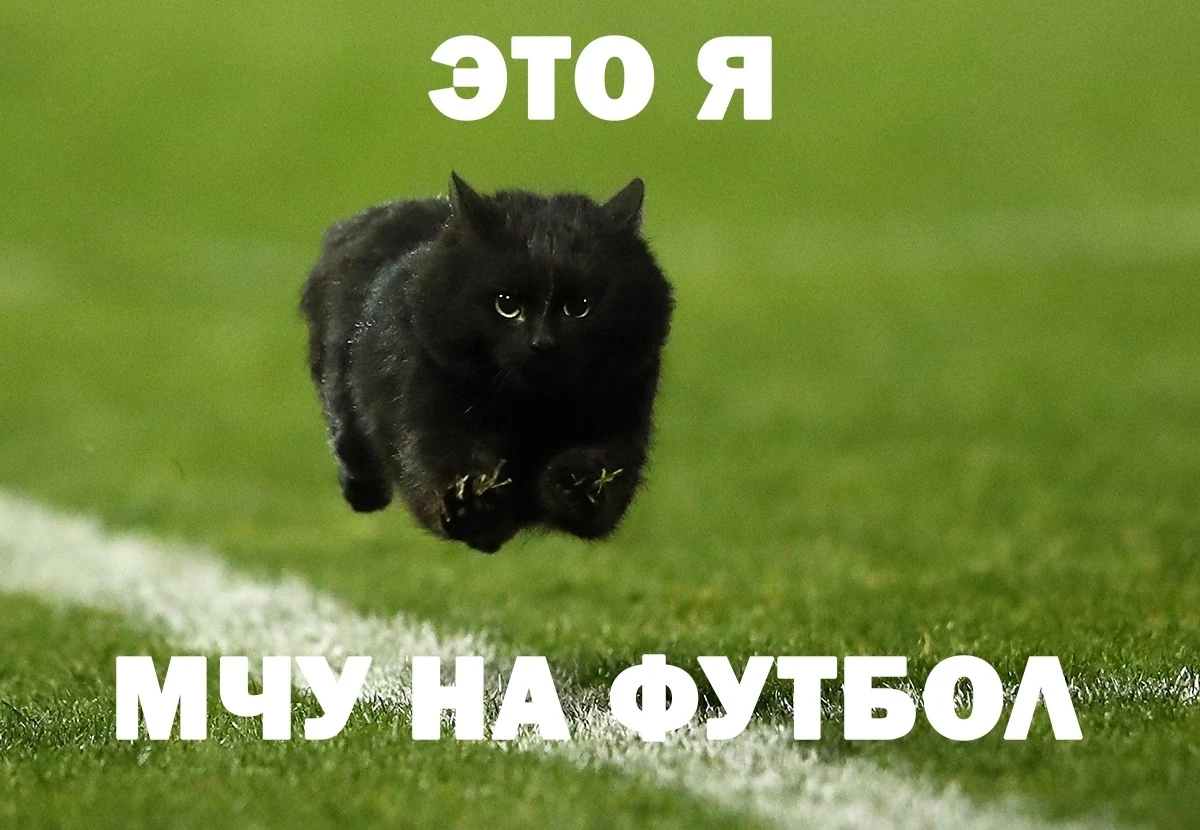 С Днём физкультурника, друзья! ⚽ Ждём вас сегодня на матче "Урал" - "Уфа".