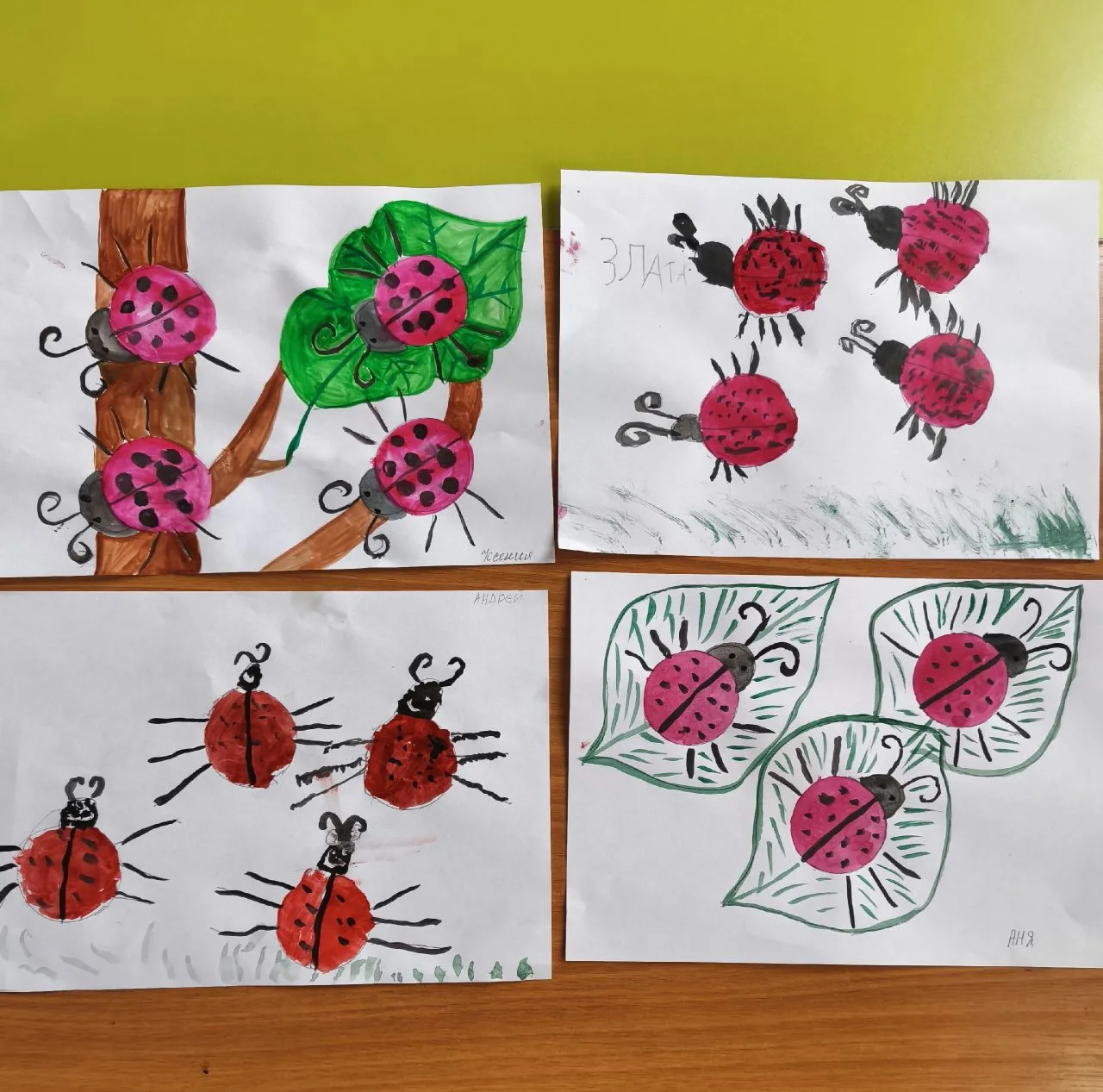 🐞 Наши маленькие художники:божьи коровки  на бумаге !🐞