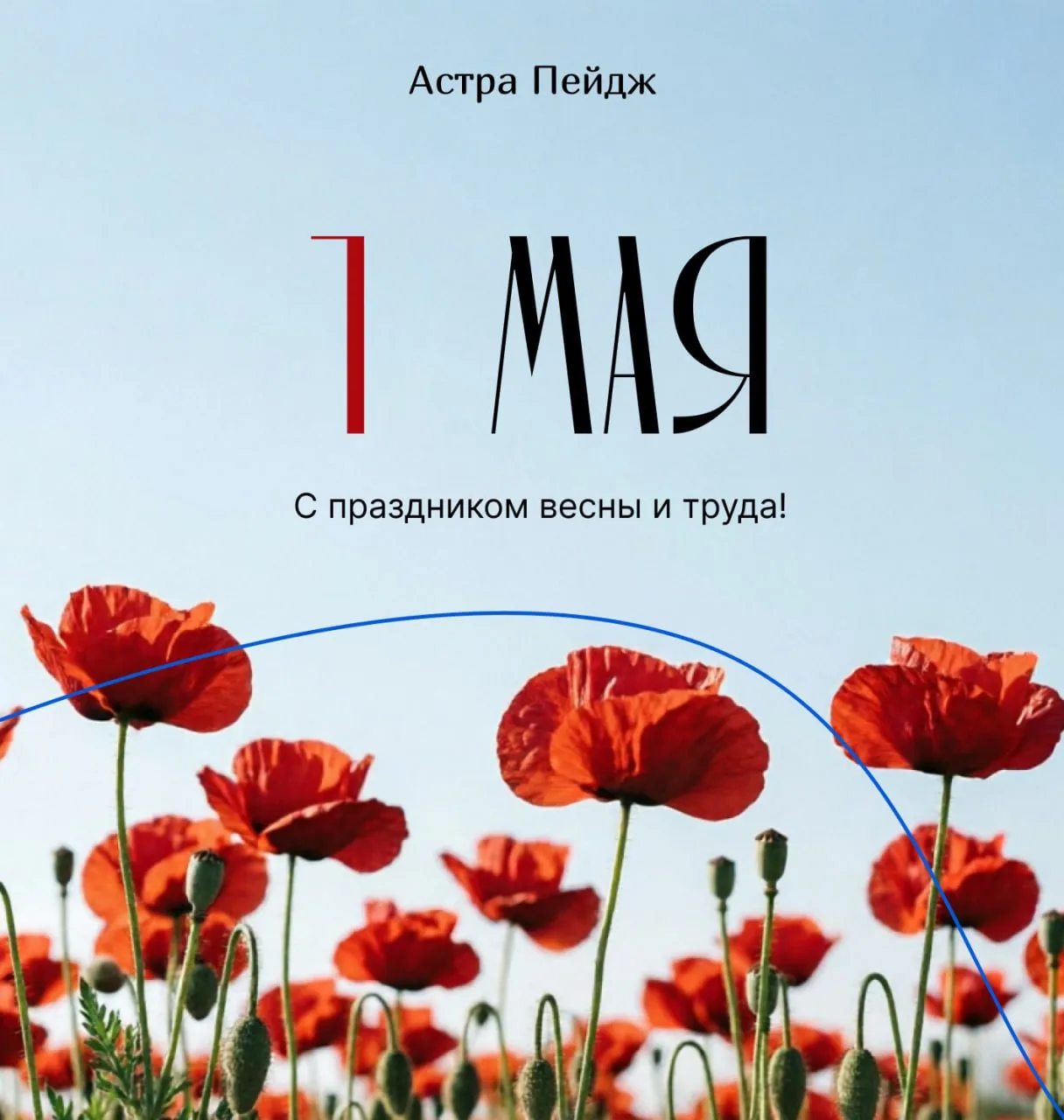 Коллеги, с Праздником Весны и Труда! 🌷