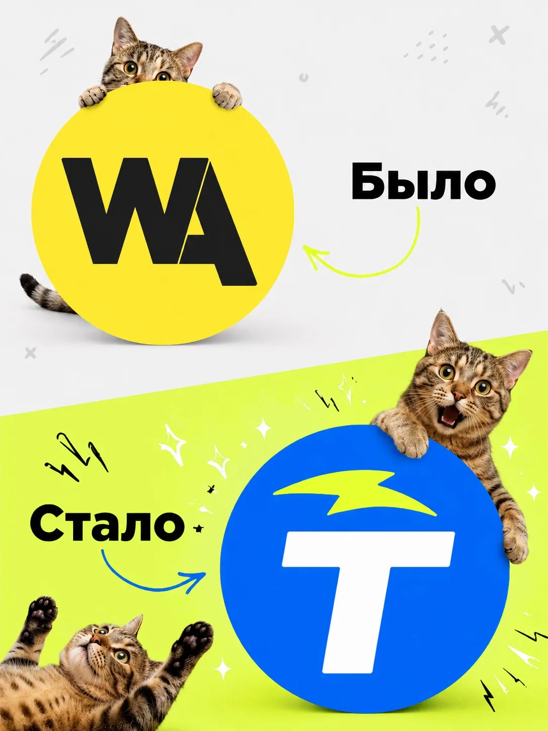 НОВАЯ ГЛАВА НАЧИНАЕТСЯ СЕЙЧАС 💛🥹