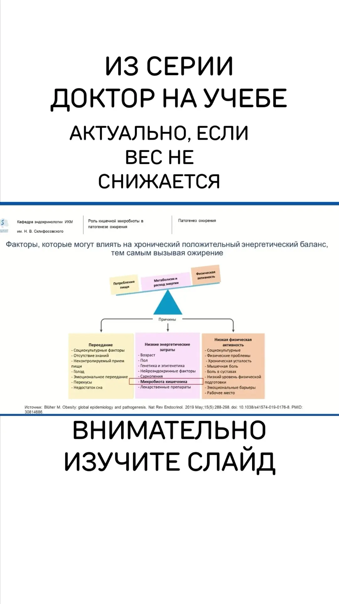 Из серии #докторнаучебе