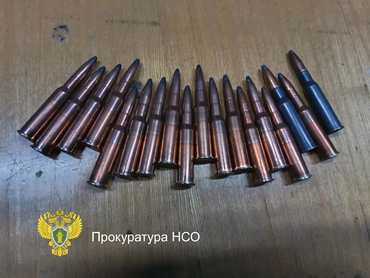 📍В Новосибирской области мужчина предстанет перед судом за незаконную охоту
