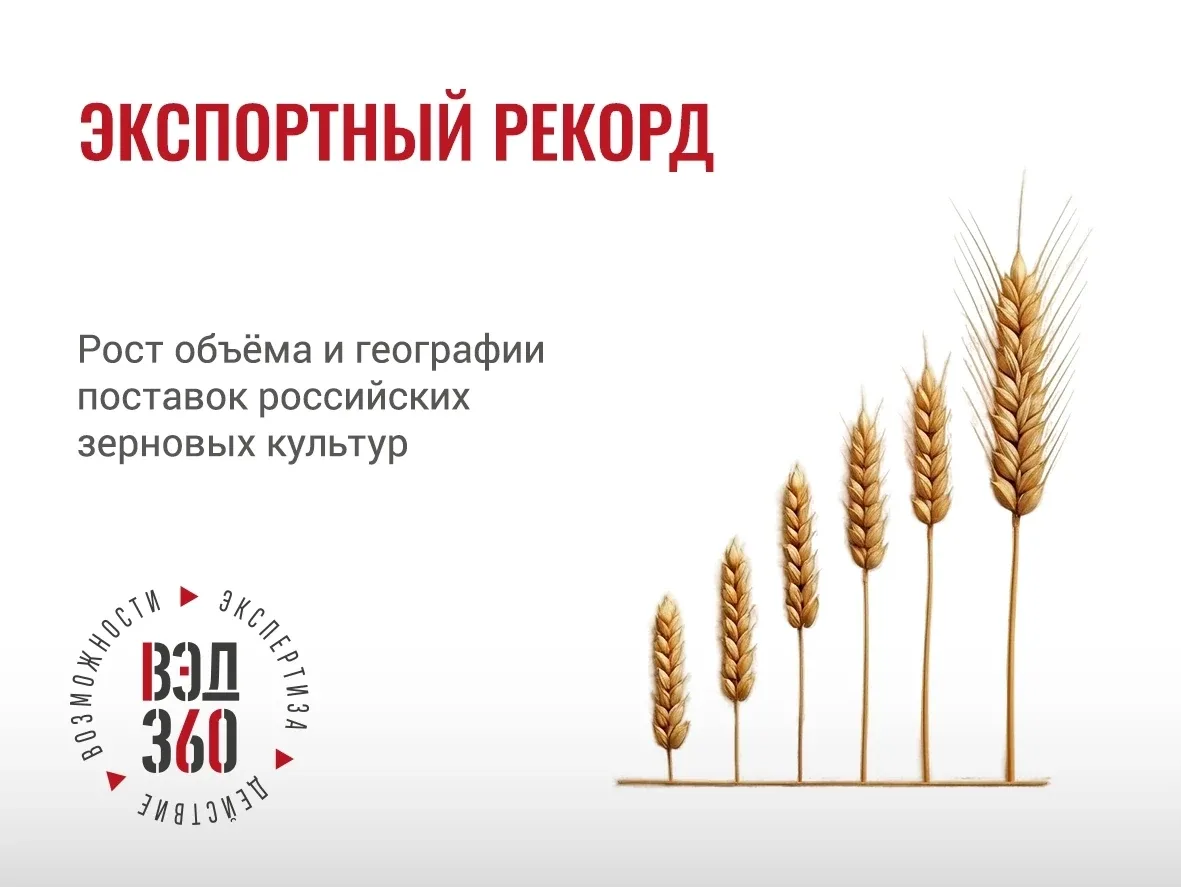 ЗЕРНОВОЙ РЕНЕССАНС