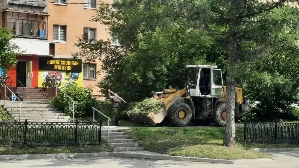 Коммунальщики продолжают облагораживать городские газоны и клумбы

Рабочие занимаются окоской травы 