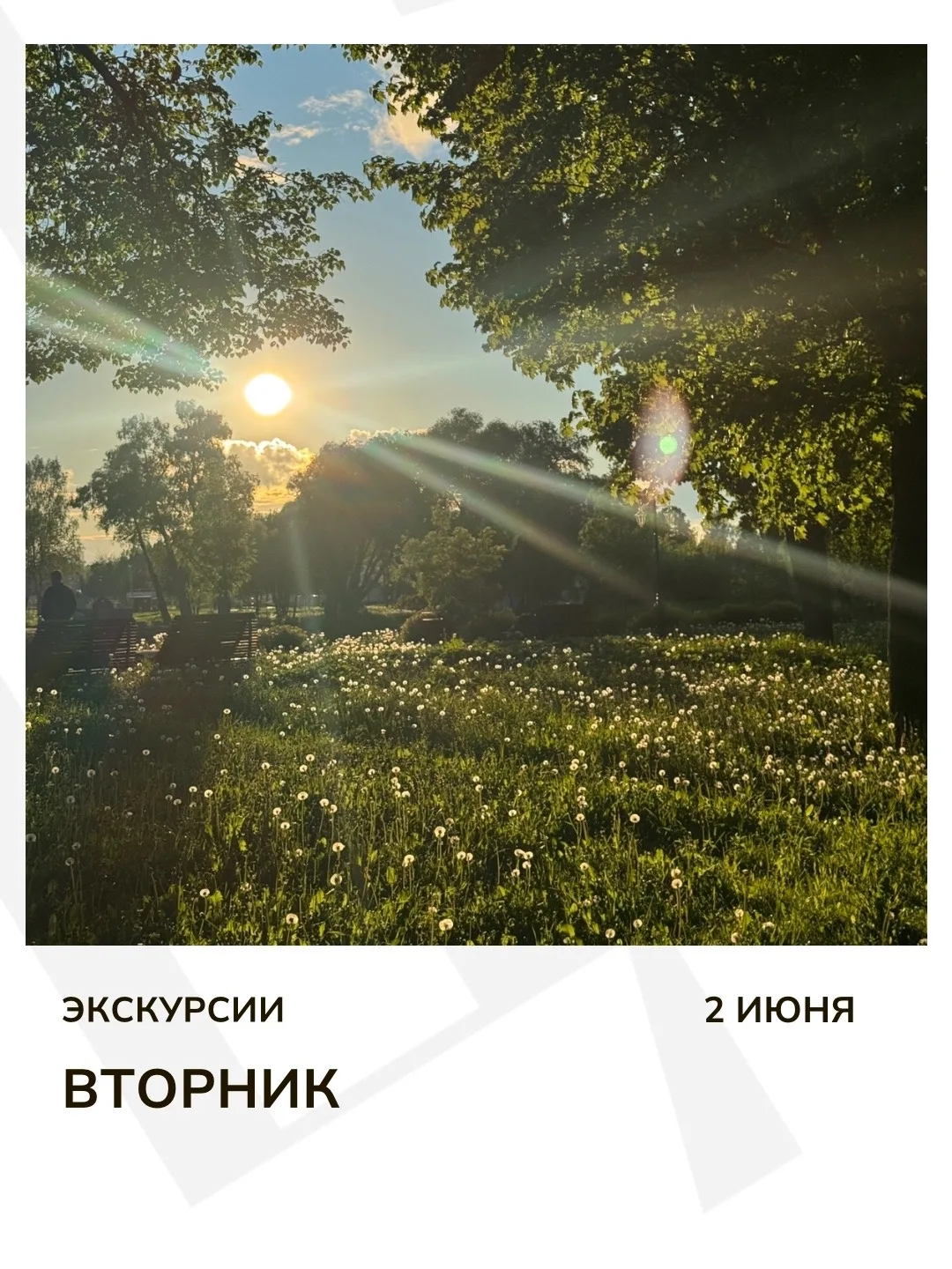 Экскурсия дня