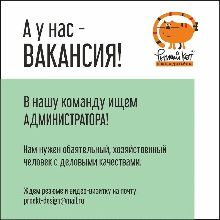 А у нас ВАКАНСИЯ! 🐱