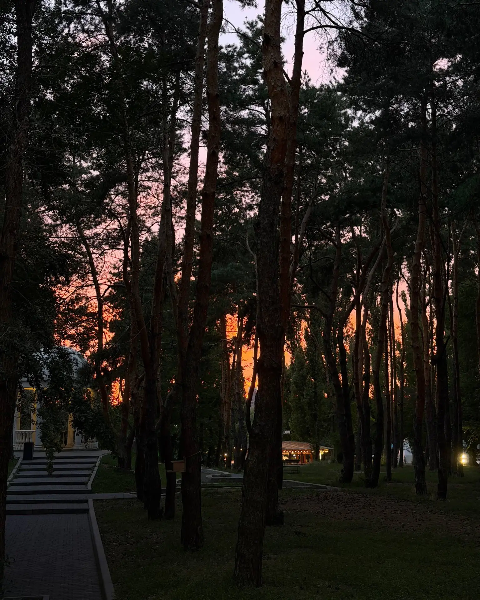 Летние вечера ✨
