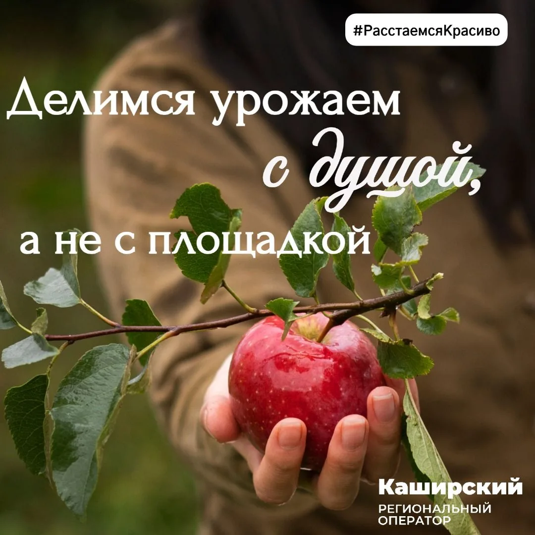 Август — пора отпусков, подготовки к школе и, конечно, сбора урожая. Но что делать, есл...