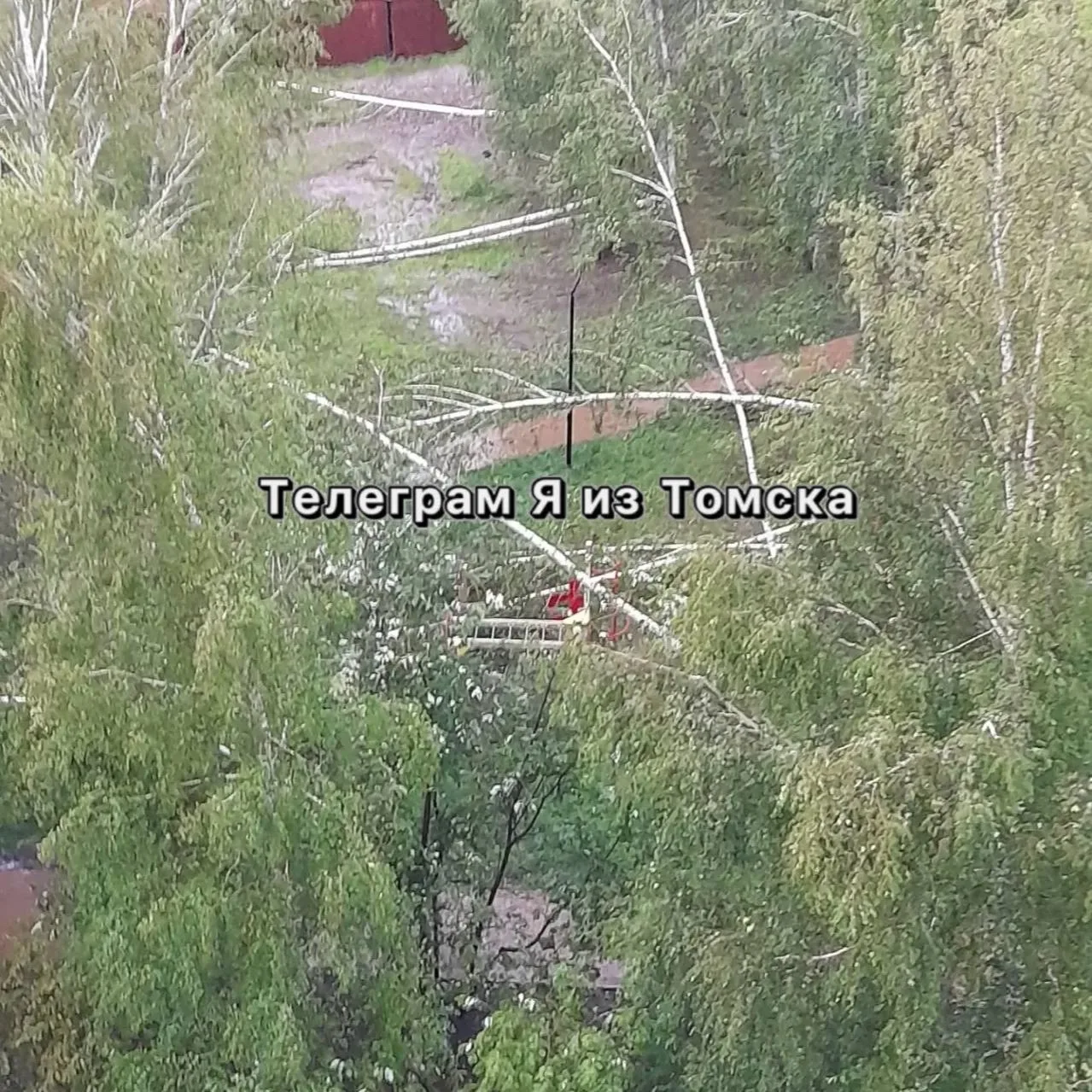 🌧️ А вот и последствия урагана в Томске: начали падать деревья.