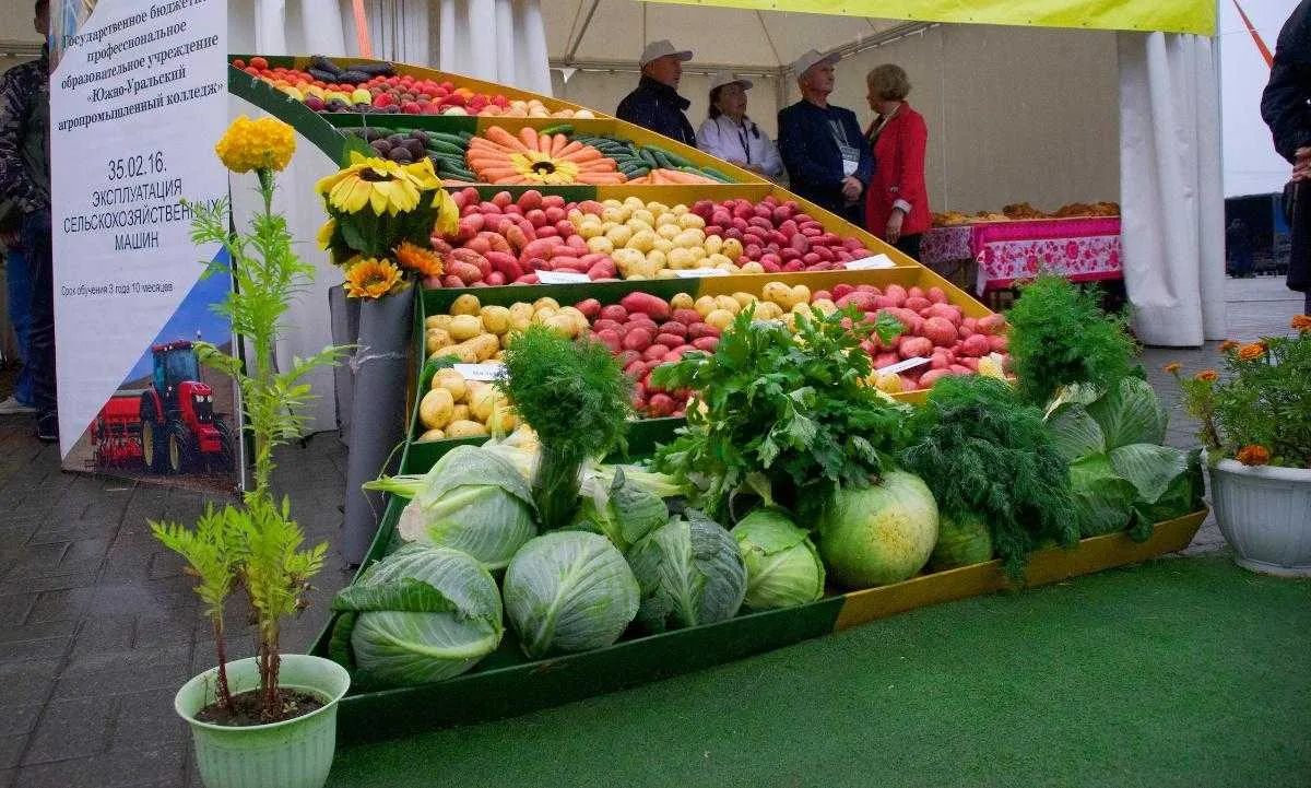 🌾 На «Тракторе» пройдет большая выставка «Агро-2026» 
 
Гостей ждут: 
🥕 продукция более 150 произв