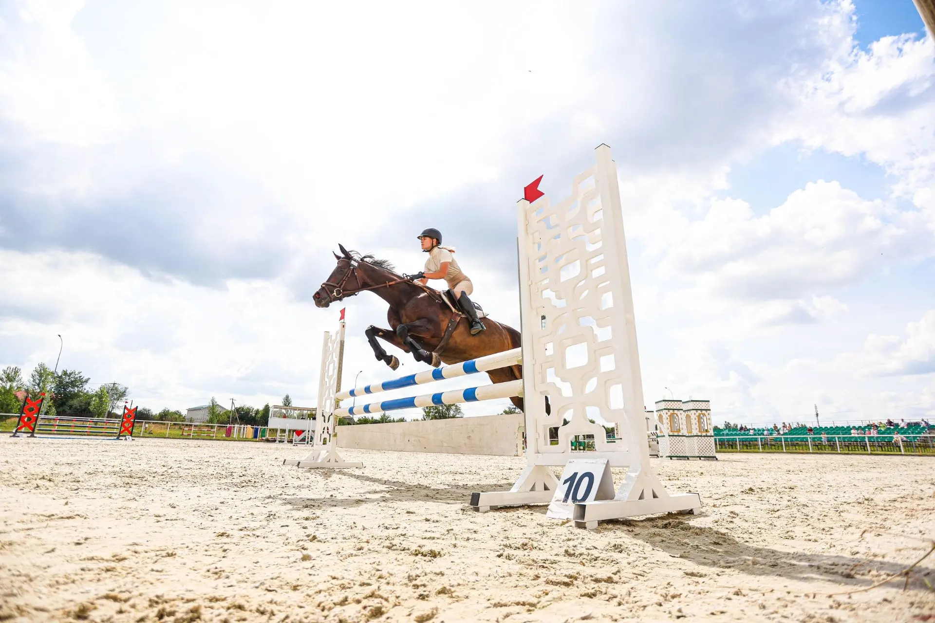 🏆ПОБЕДИТЕЛИ КУБКА ПО КОНКУРУ

🏇В курской конноспортивной школе олимпийского резерва прошел один из