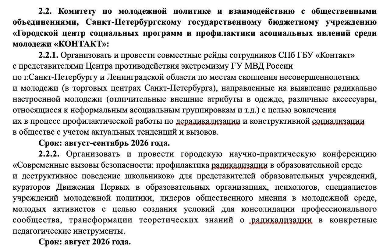 В Санкт‑Петербурге в торговых центрах планируют провести рейды на фоне роста подростковой преступнос