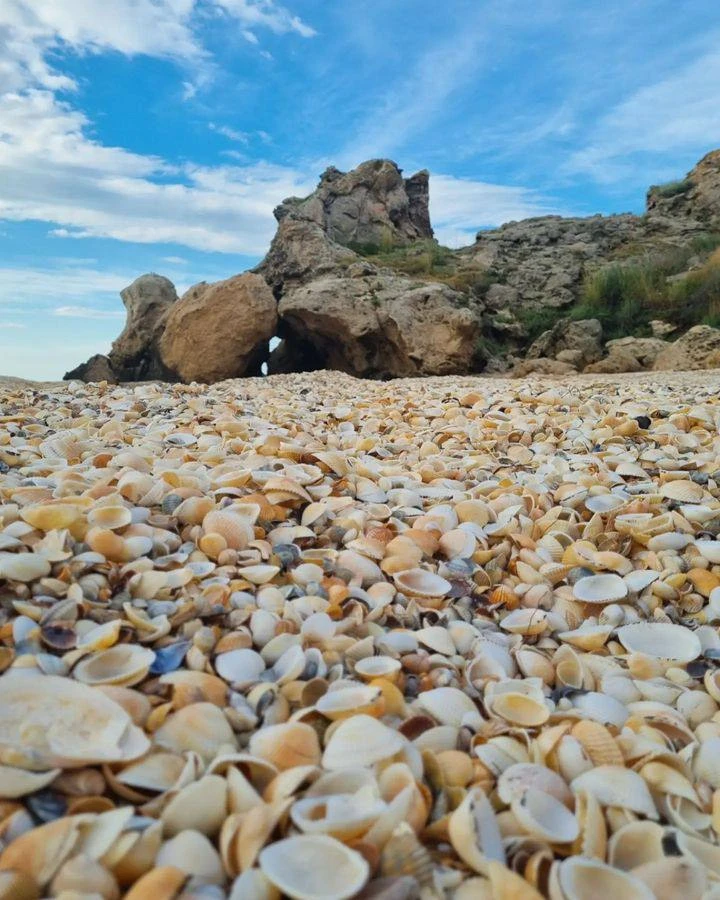 Дикие генеральские пляжи 🏝