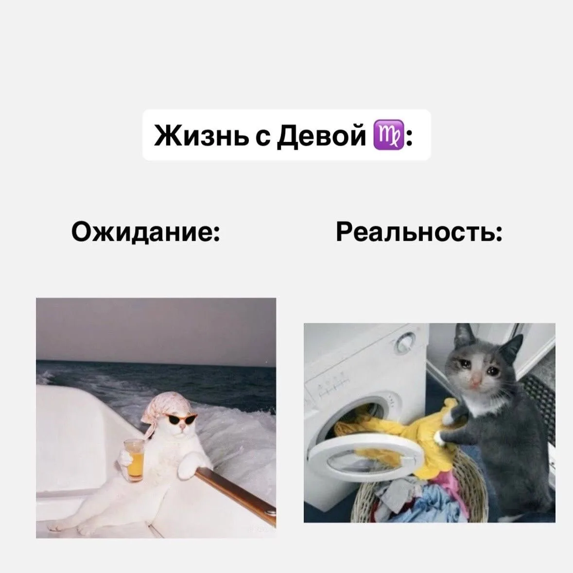 Жизнь со знаками зодиака, часть 1  Если согласны с постом, оставляйте реакцию ❤️  Астрология | Подпи