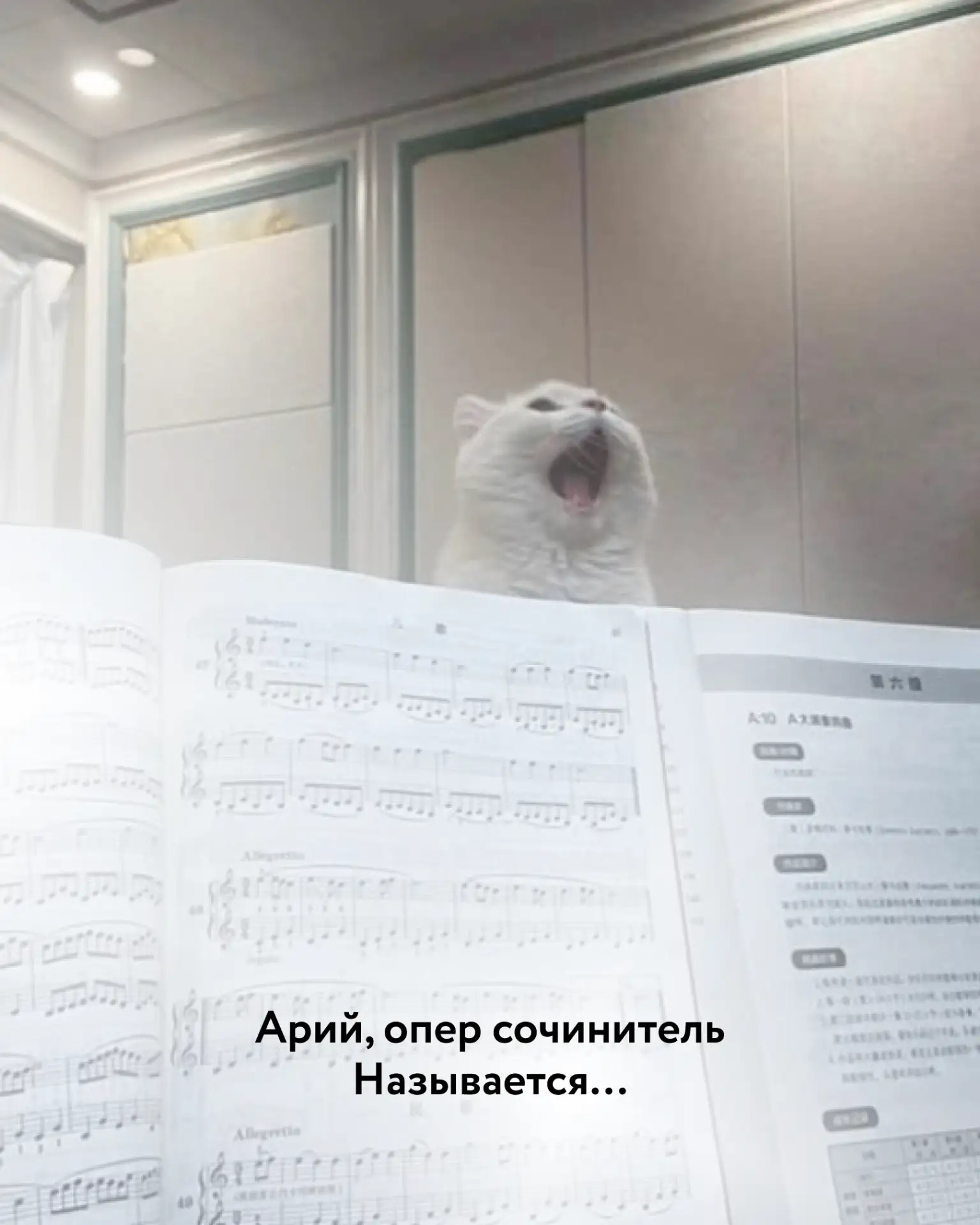 Изображение к публикации «Фоксфорд | Онлайн-школа»