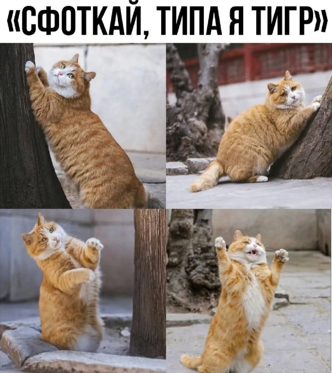 Подпишись на юмор 😂