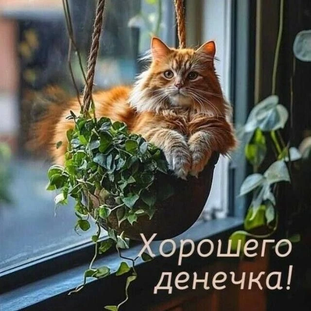 Подпишись 👇
Мои открытки  - МАХ • Открытки • Доброе утро • С днём рождения • Спокойной ночи